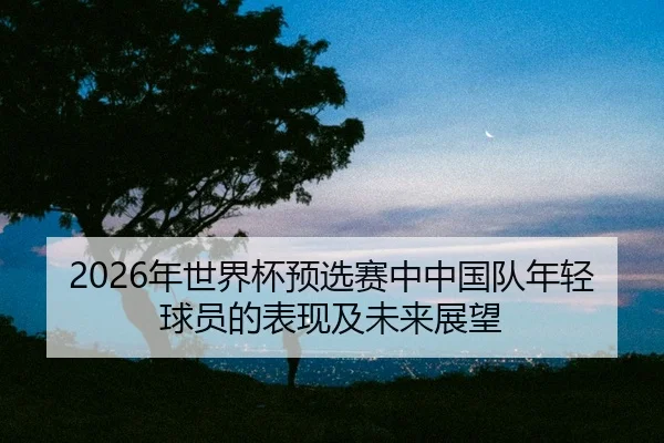 nian-shi-jie-bei-yu-xuan-sai-zhong-zhong-guo-dui-nian-qing-qiu-yuan-de-biao-xian-ji-wei-lai-zhan-wang-2-238.jpg