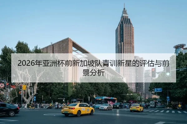 2026年亚洲杯前新加坡队青训新星的评估与前景分析