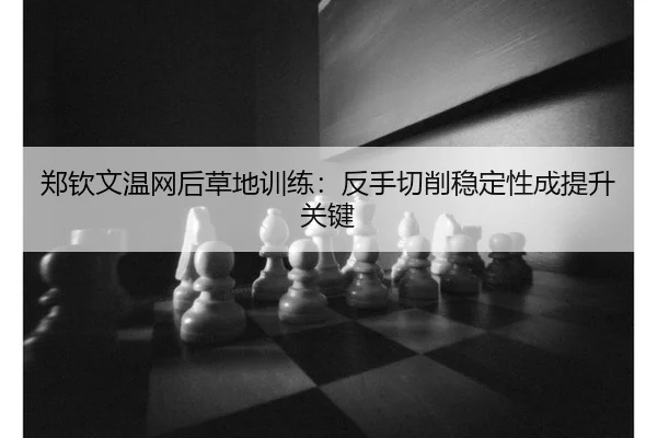 zheng-qin-wen-wen-wang-hou-cao-di-xun-lian-fan-shou-qie-xiao-wen-ding-xing-cheng-ti-sheng-guan-jian-2-966.jpg